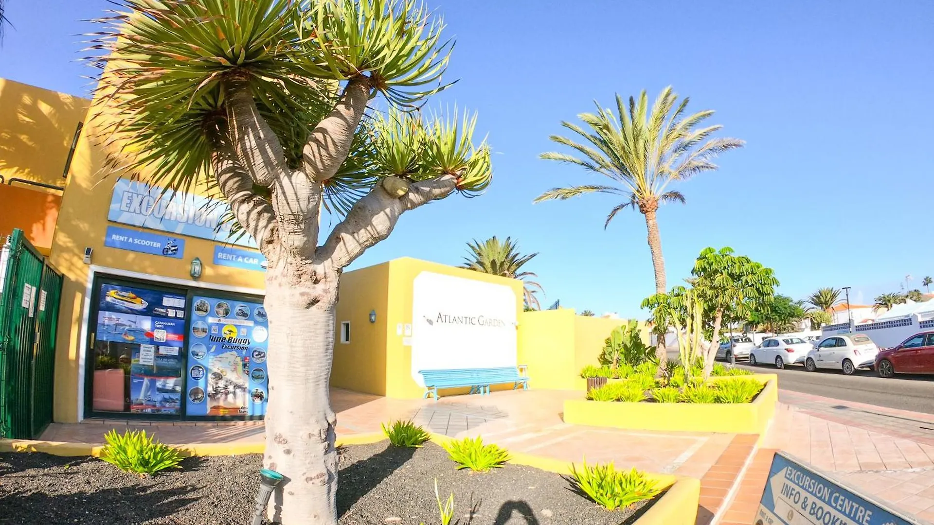 Drago 1 Atlantic Garden Apartment Corralejo