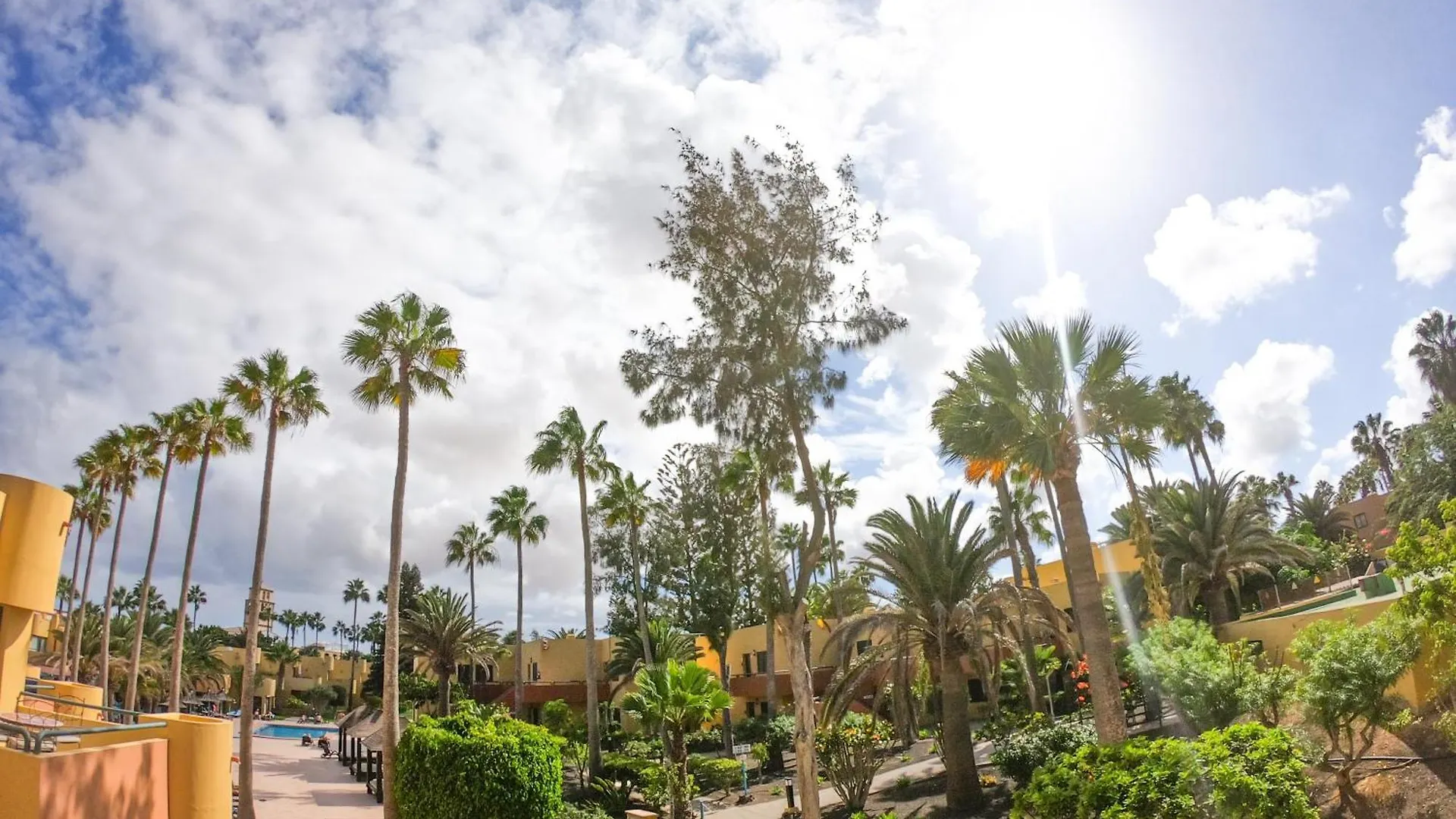 Drago 1 Atlantic Garden Apartment Corralejo