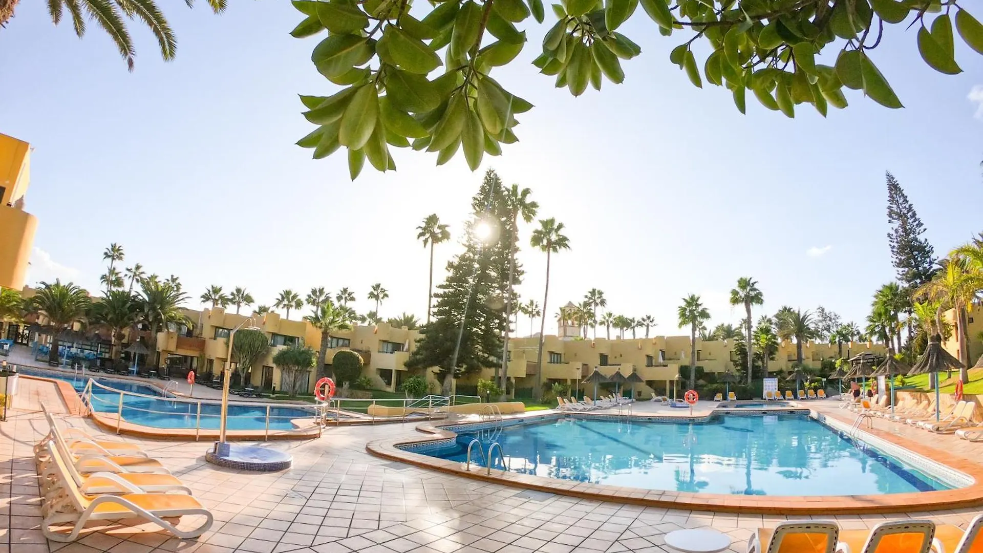 Drago 1 Atlantic Garden Apartment Corralejo
