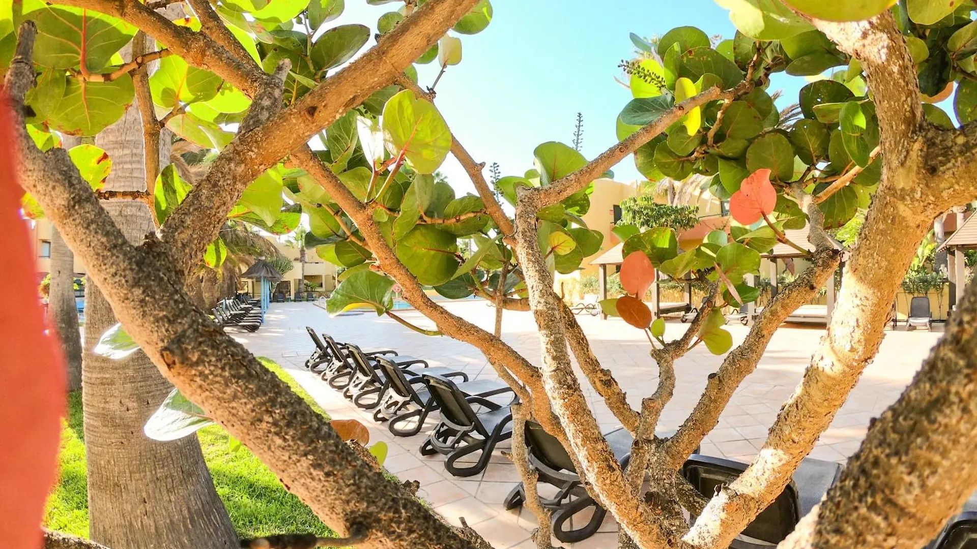 Drago 1 Atlantic Garden Apartment Corralejo